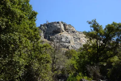 DSC_2243 (Large).JPG